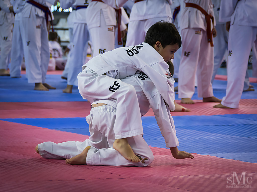 DIA DEL TAEKWONDO ABRIL 2017_3883.JPG